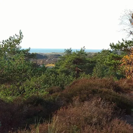 Modern Near - By Traum