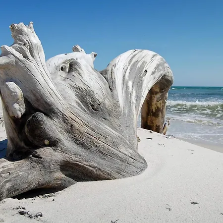 Semesterbostad Modern Near - By Traum *