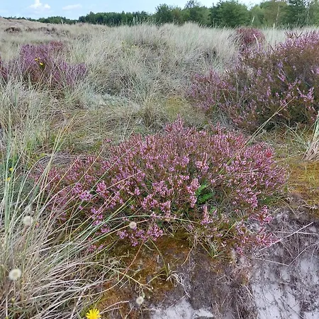 Modern Near - By Traum Semesterbostad