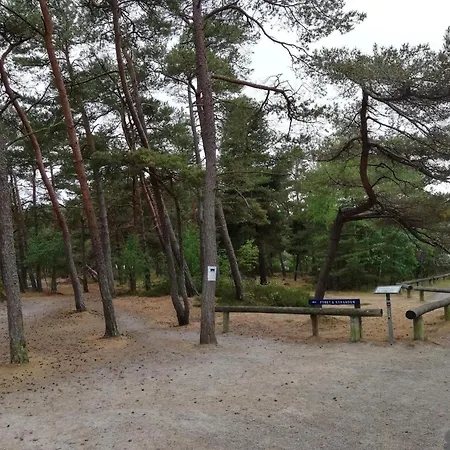 Modern Near Neksø