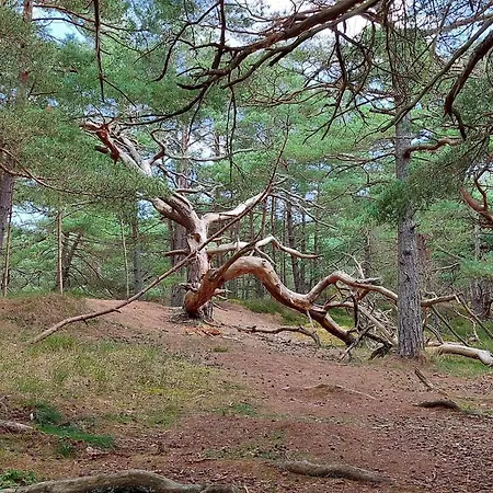Prázdninový dům Modern Near Neksø